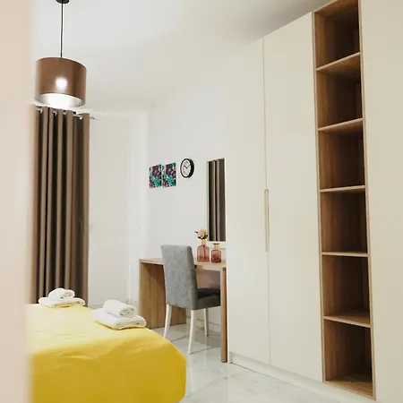 Luxury Penthouse B&e Apartment