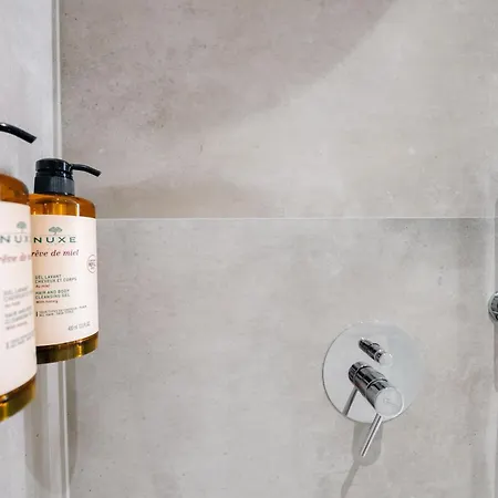 Luxury Penthouse B&e Apartment *